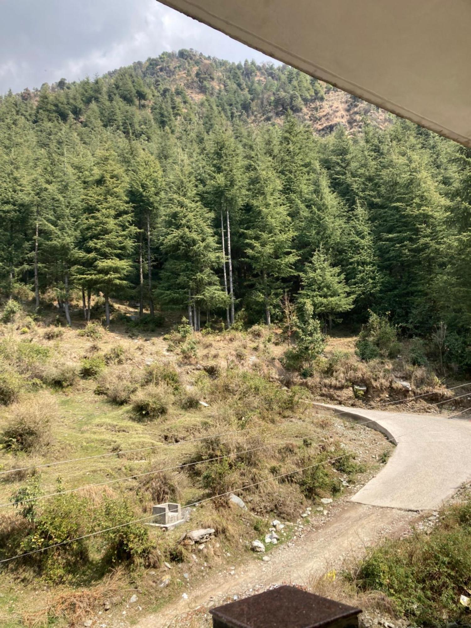 Oasis Guest House Bhagsu D'Shala Dharamshala Exterior foto